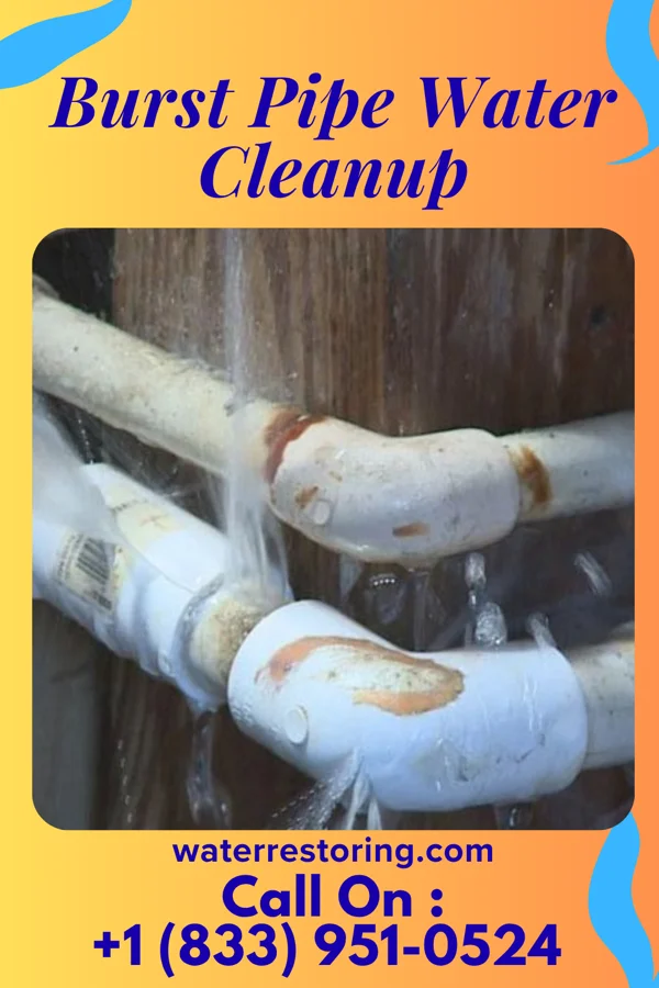 Burst Pipe Water Cleanup in Altamont, PA