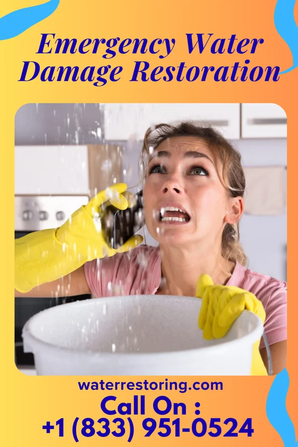 Emergency Water Damage Restoration in Altamont, PA