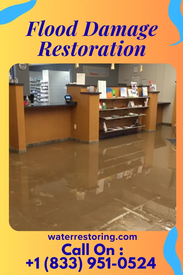 Flood Damage Restoration in Altamont, PA